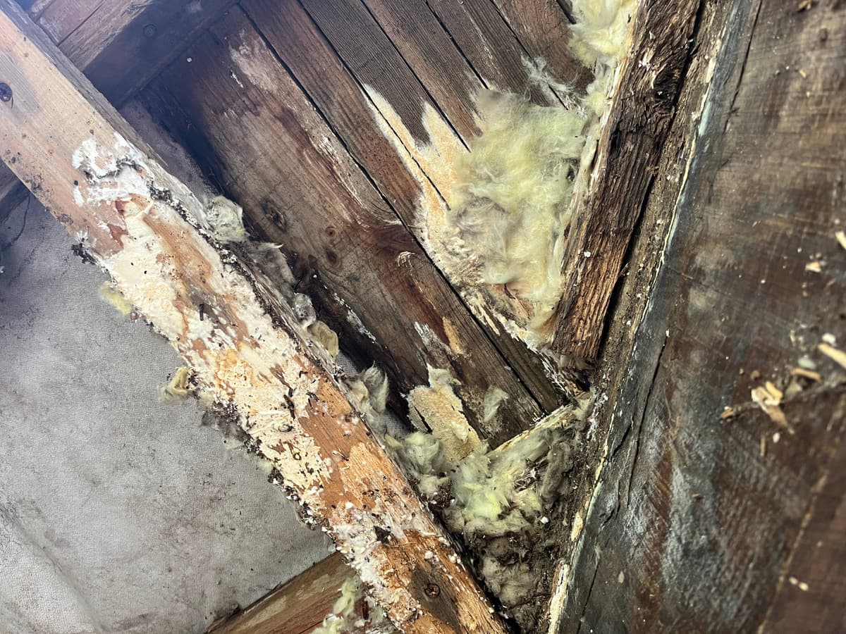 Degats d'humidite par infiltration a Conde-en-Normandie