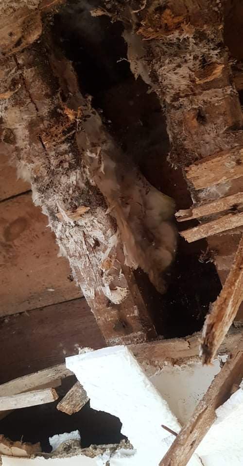 Effondrement d'un plafond du a une pourriture avancee du bois de structure