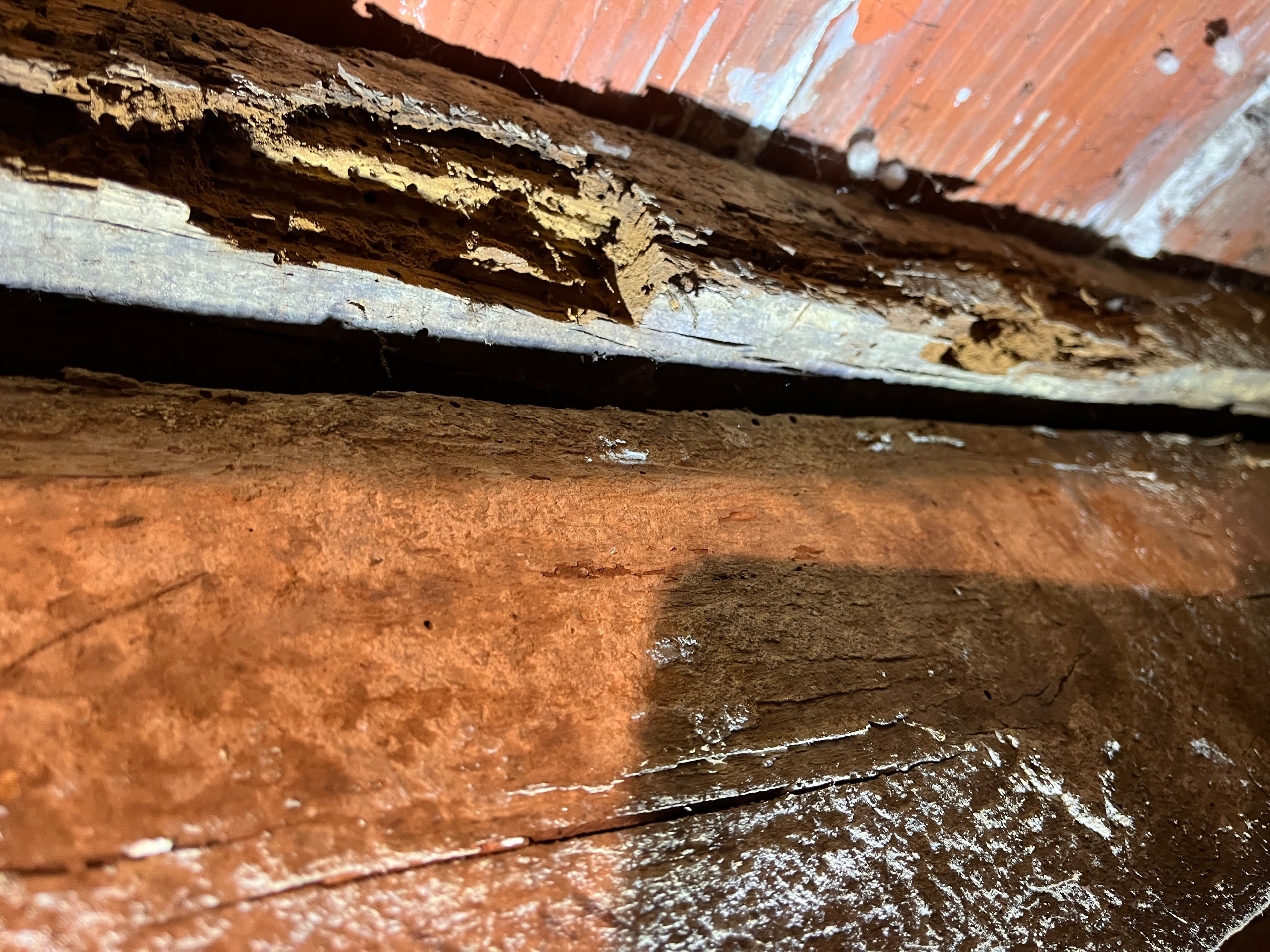 Bois de charpente detruit par la pourriture cubique - fissures en petits cubes caracteristiques